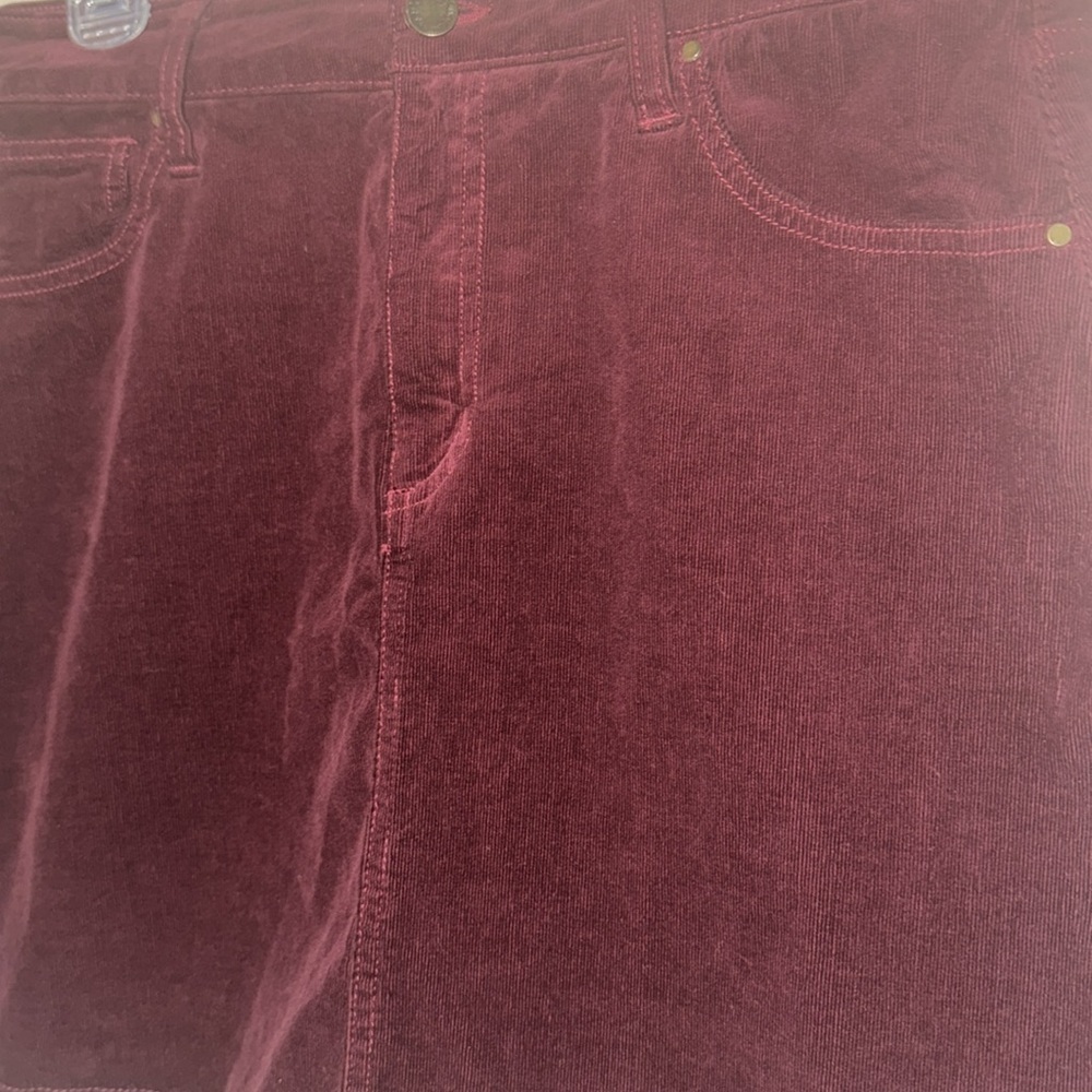 Burgundy Corduroy Short Skirt by Market& Spruce - Size Petite 12 - Picture 3 of 7